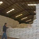 Cambodian rice exported to China