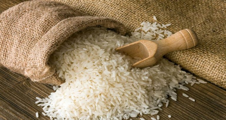 rice-image-1024x640